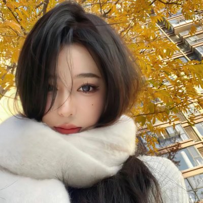 纸房子:全球热潮